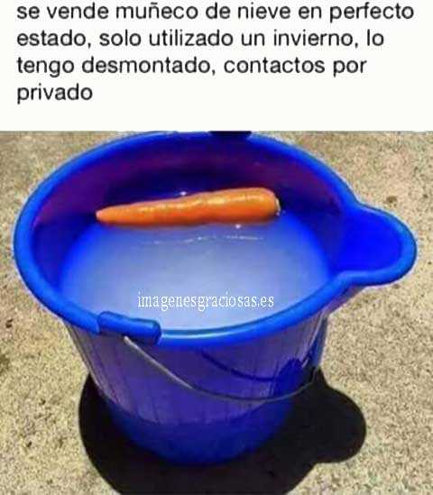 cubo de agua con una zanahoria